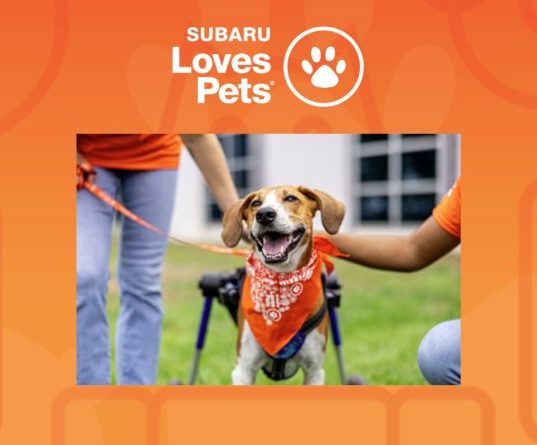 Matthews Subaru Broadcast Friday